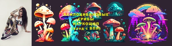 хмурый Алексин